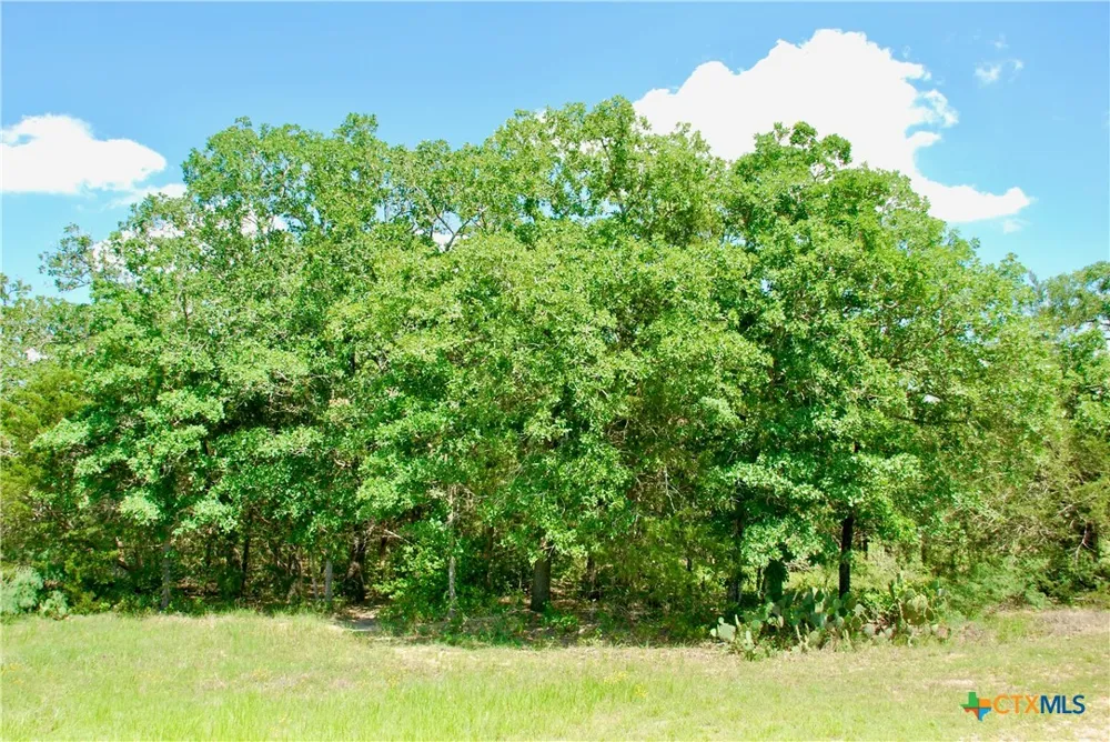 4850 Burke Road Flatonia, TX 78941