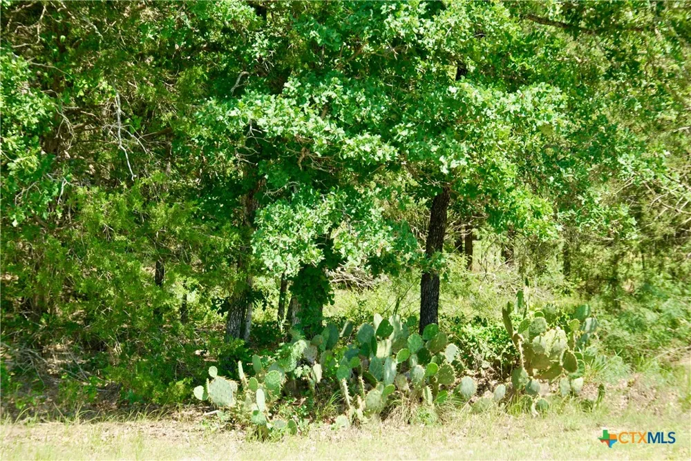 4850 Burke Road Flatonia, TX 78941