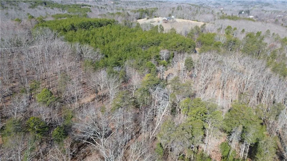 Tract H Hanging Rock Forest Road #H Danbury, NC 27016