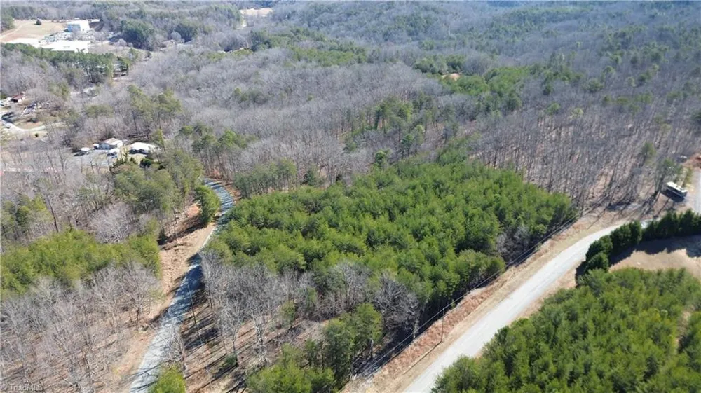 Tract H Hanging Rock Forest Road #H Danbury, NC 27016