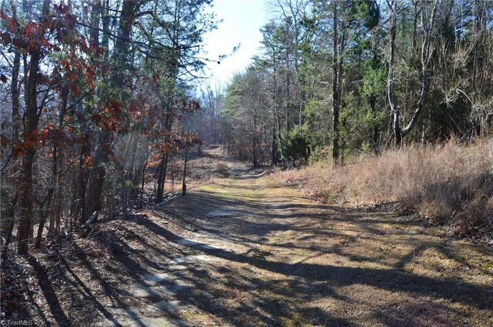 Tract H Hanging Rock Forest Road #H Danbury, NC 27016