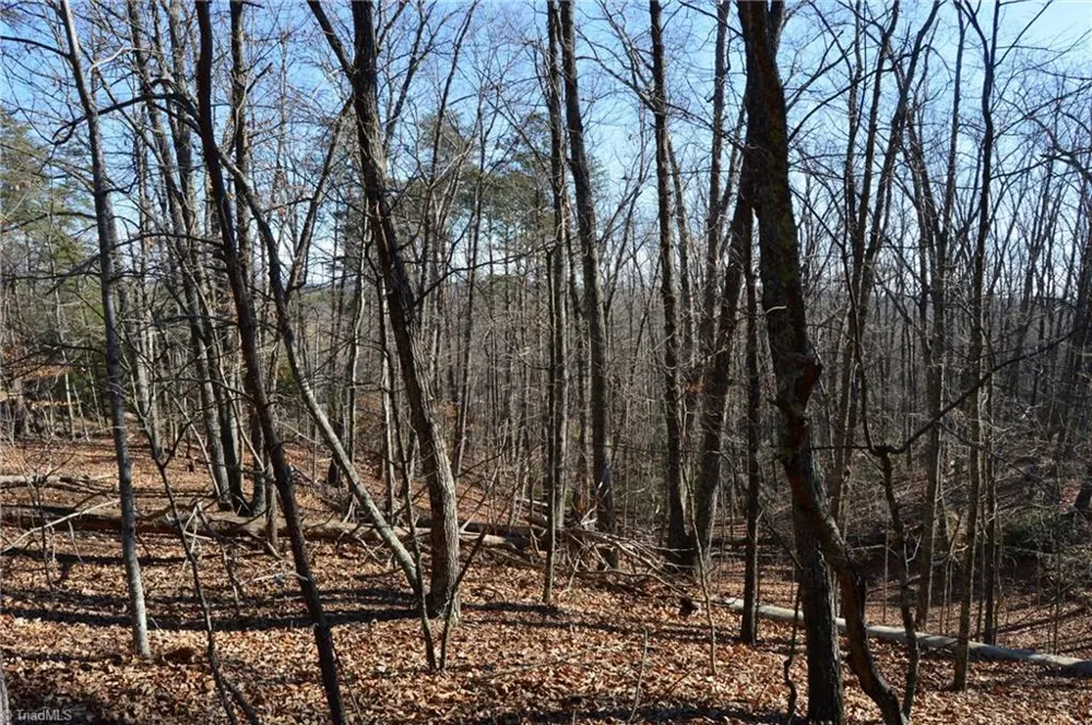 Tract H Hanging Rock Forest Road #H Danbury, NC 27016