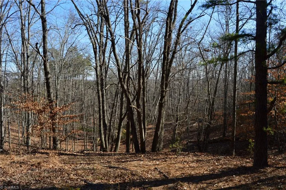 Tract H Hanging Rock Forest Road #H Danbury, NC 27016