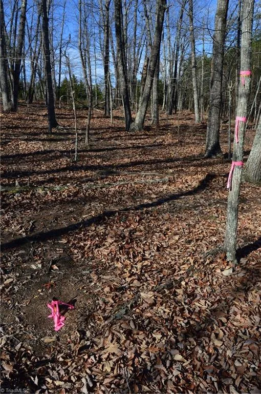 Tract H Hanging Rock Forest Road #H Danbury, NC 27016