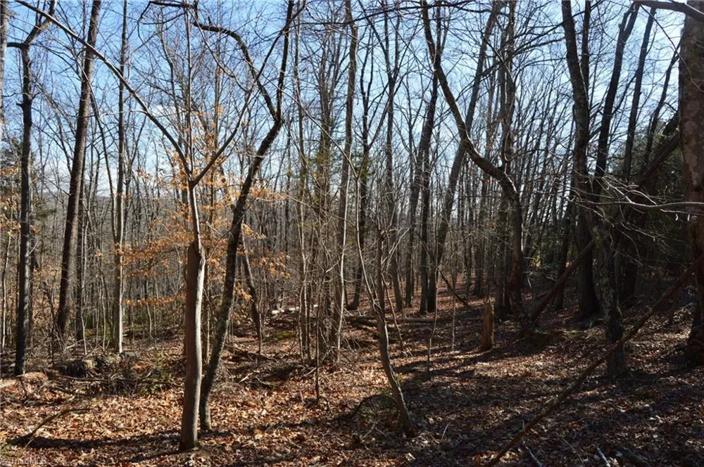 Tract H Hanging Rock Forest Road #H Danbury, NC 27016