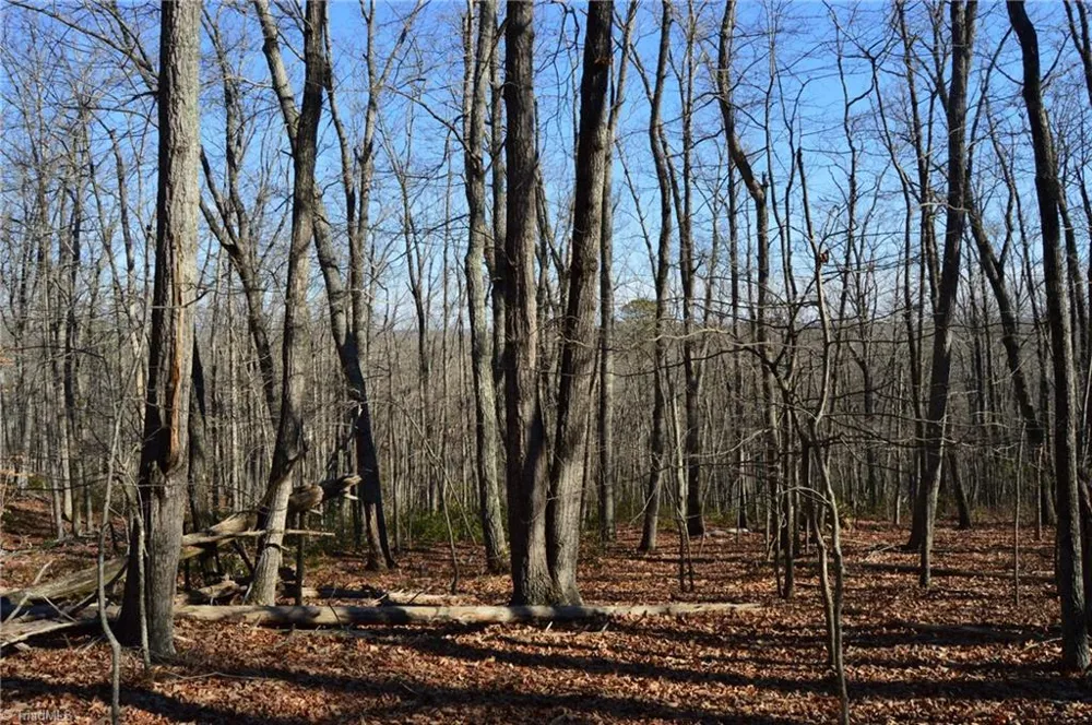 Tract H Hanging Rock Forest Road #H Danbury, NC 27016