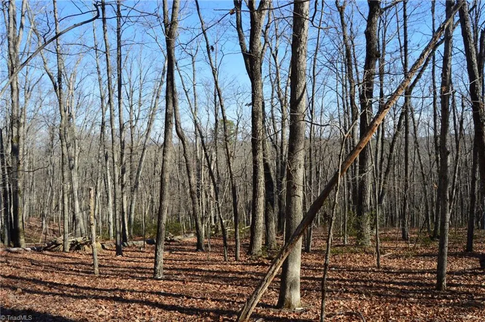 Tract H Hanging Rock Forest Road #H Danbury, NC 27016