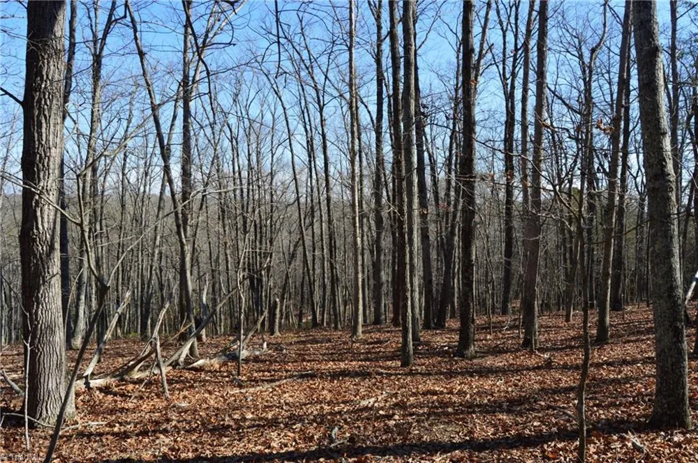 Tract H Hanging Rock Forest Road #H Danbury, NC 27016