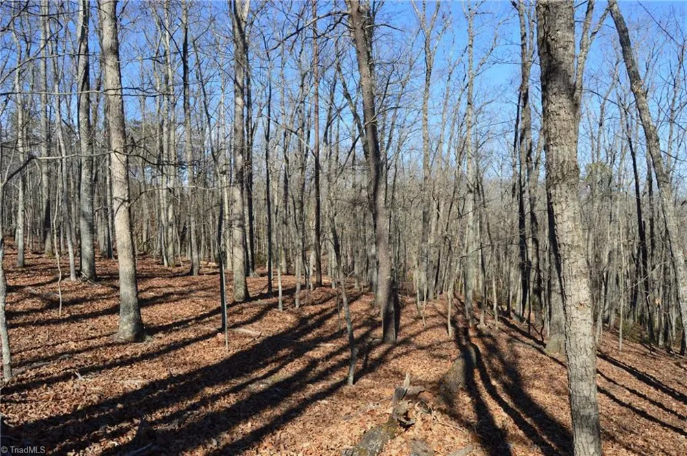 Tract H Hanging Rock Forest Road #H Danbury, NC 27016