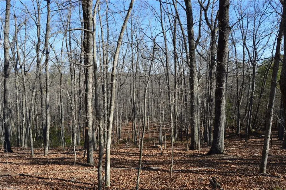 Tract H Hanging Rock Forest Road #H Danbury, NC 27016