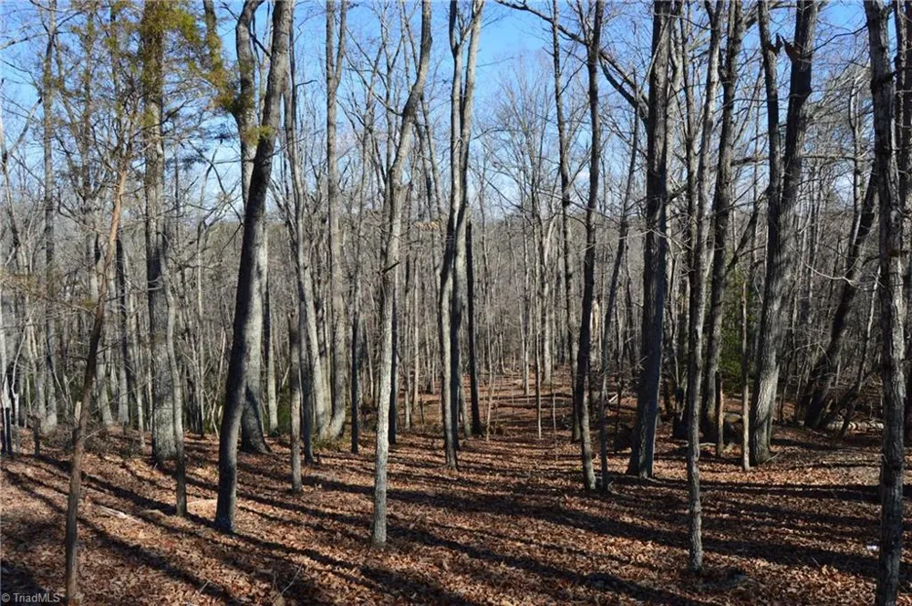 Tract H Hanging Rock Forest Road #H Danbury, NC 27016