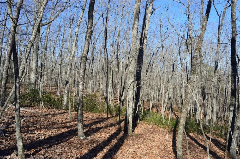 Tract H Hanging Rock Forest Road #H Danbury, NC 27016