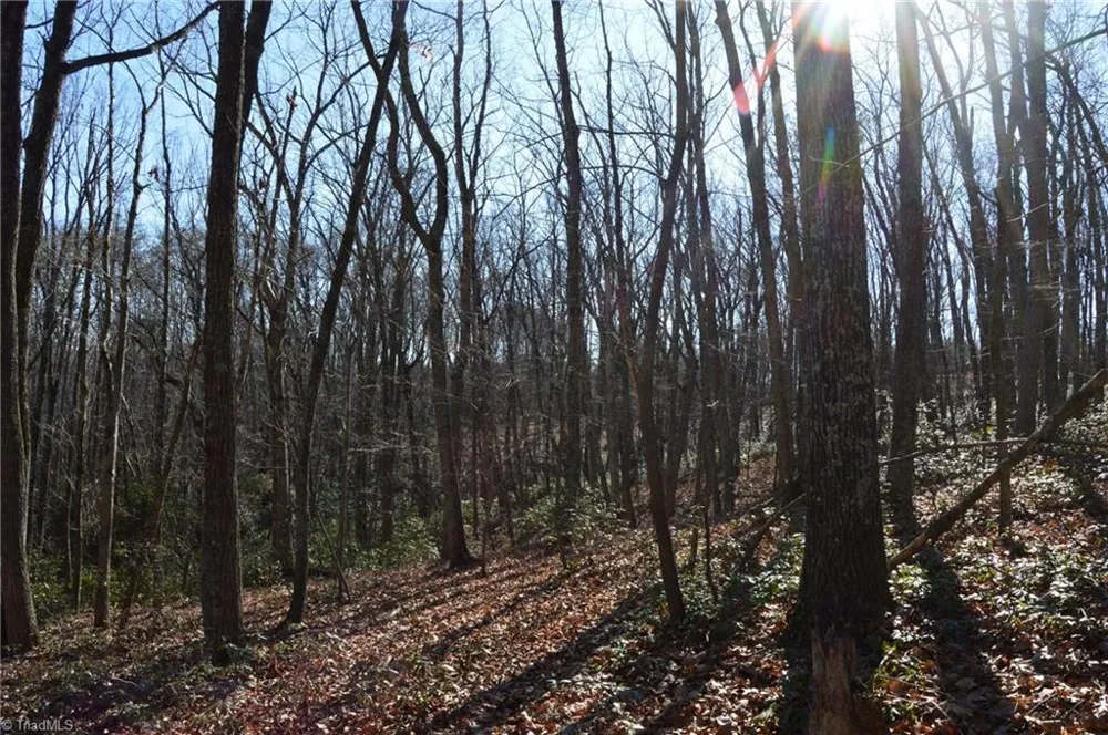 Tract H Hanging Rock Forest Road #H Danbury, NC 27016