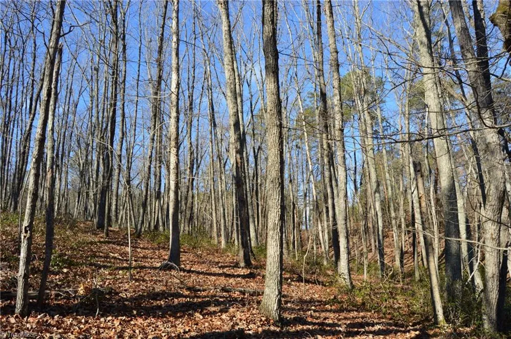 Tract H Hanging Rock Forest Road #H Danbury, NC 27016