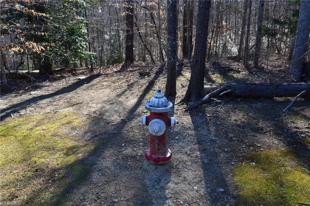 Tract H Hanging Rock Forest Road #H Danbury, NC 27016
