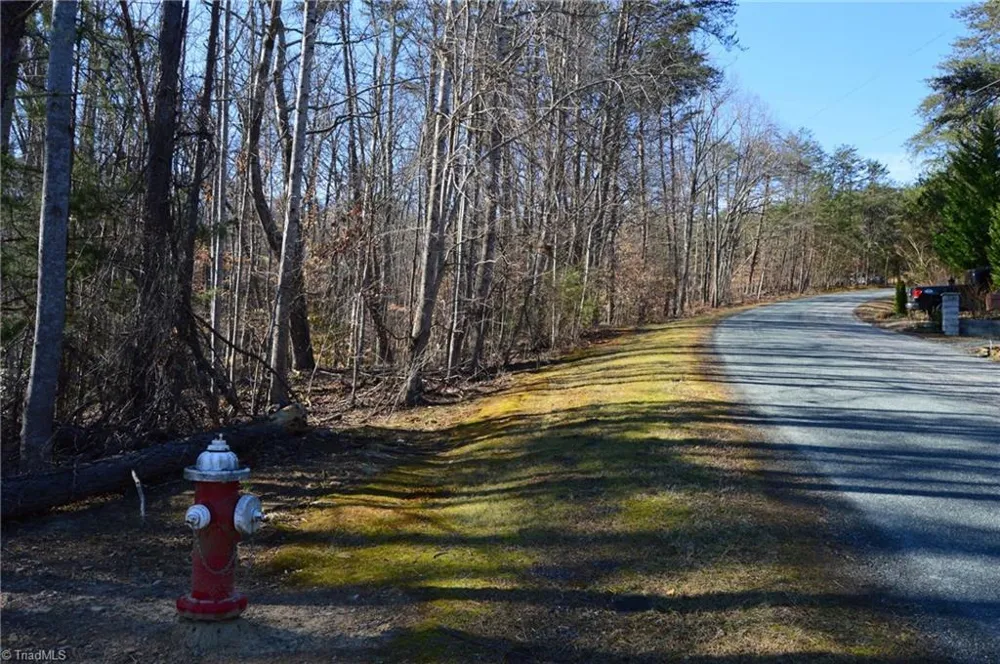 Tract H Hanging Rock Forest Road #H Danbury, NC 27016