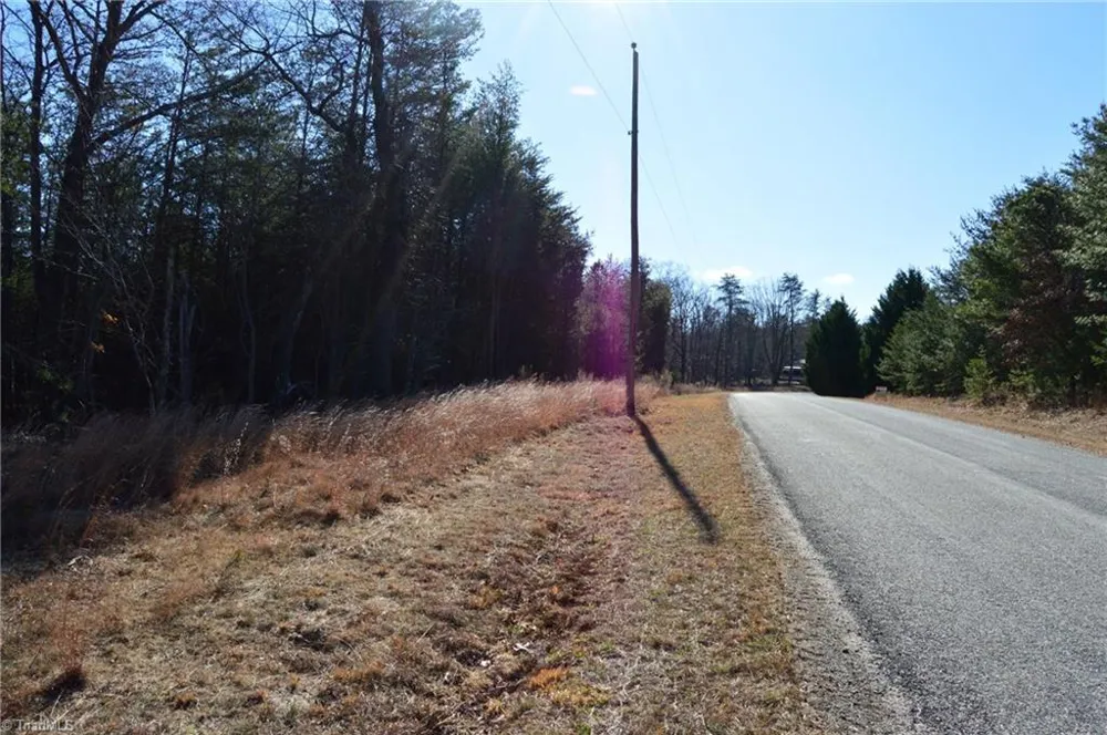 Tract H Hanging Rock Forest Road #H Danbury, NC 27016