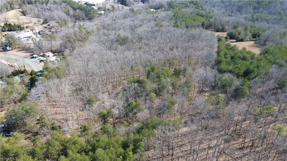 Tract H Hanging Rock Forest Road #H Danbury, NC 27016