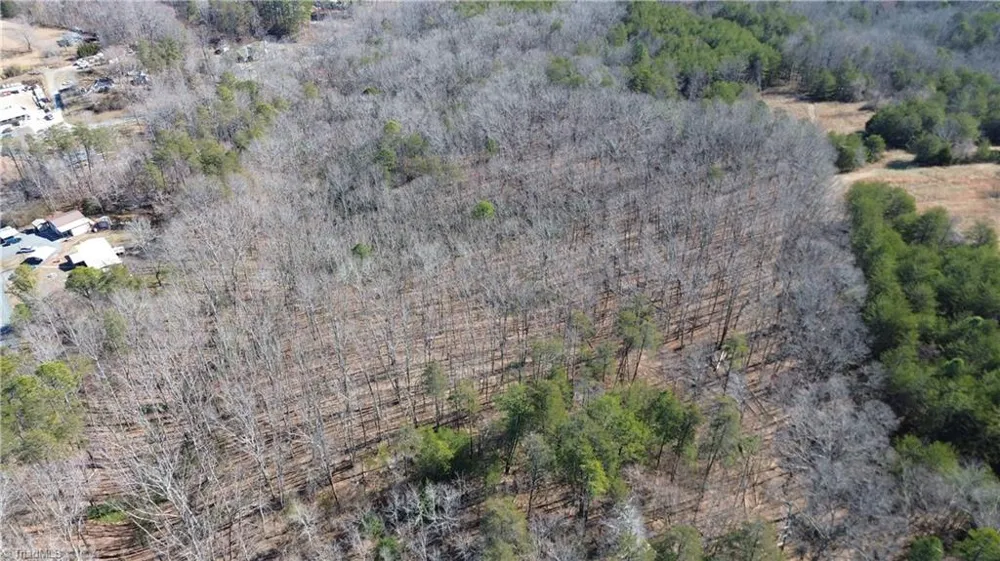 Tract H Hanging Rock Forest Road #H Danbury, NC 27016