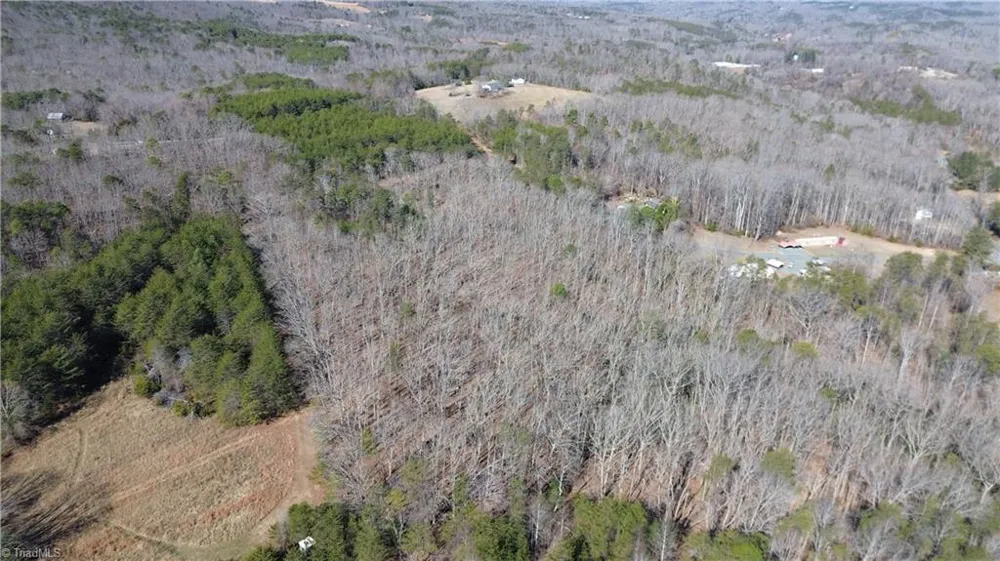 Tract H Hanging Rock Forest Road #H Danbury, NC 27016