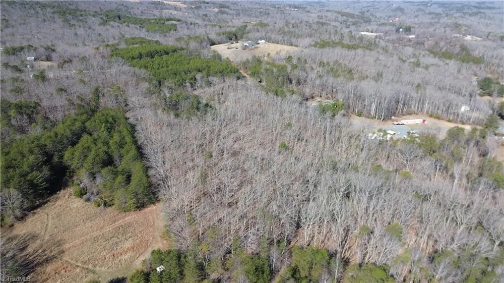 Tract H Hanging Rock Forest Road #H Danbury, NC 27016