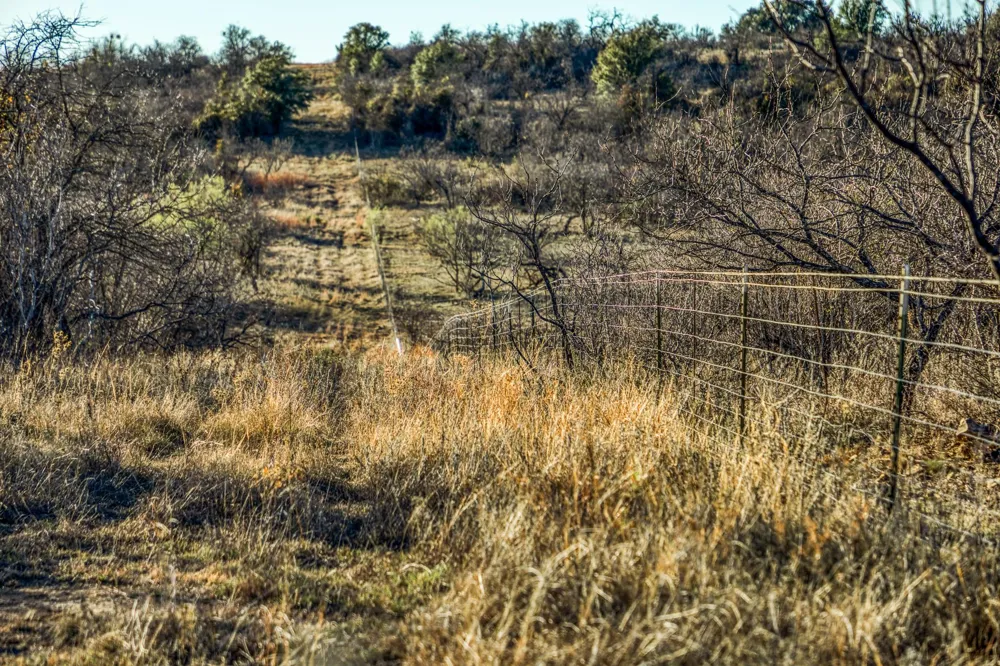 2387 Fm 503 Coleman, TX 76834