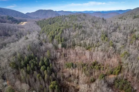 Wolf Knob Road
