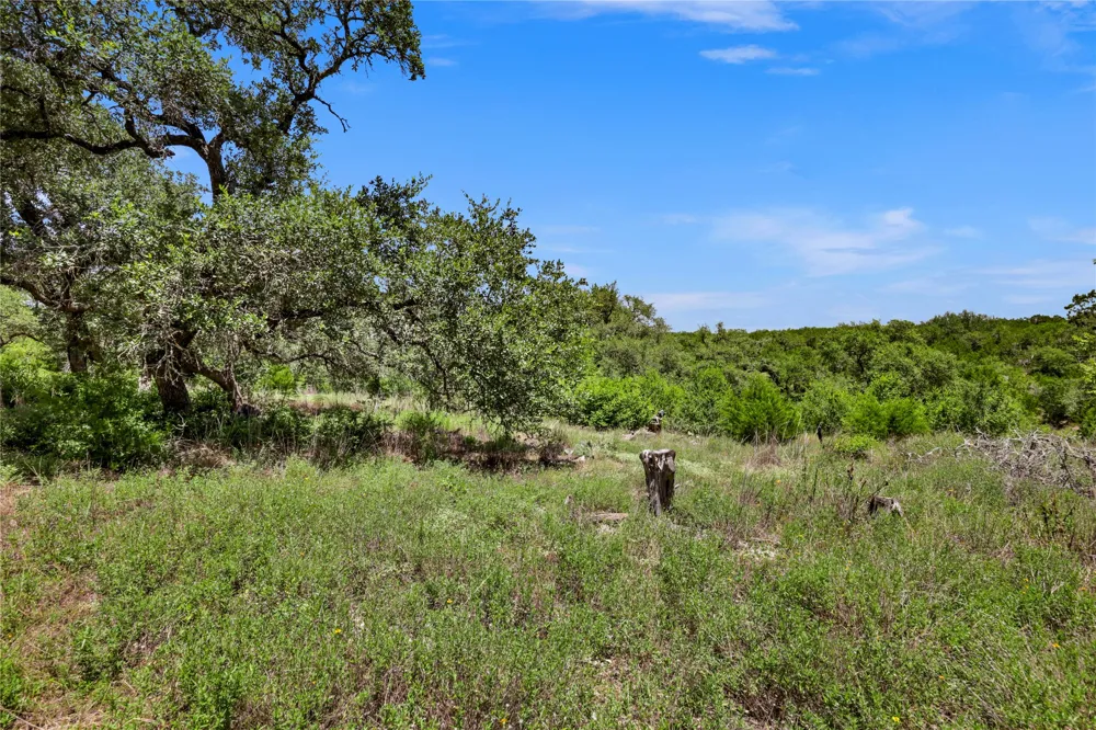 101 Purple Sage Driftwood, TX 78619