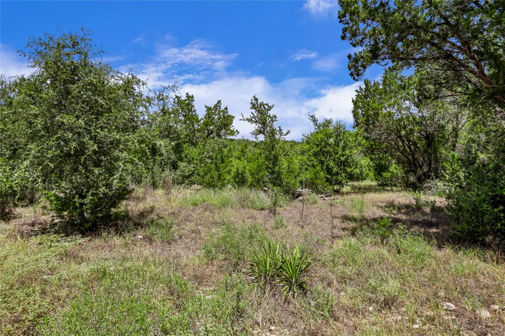 101 Purple Sage Driftwood, TX 78619