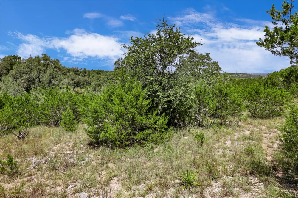 101 Purple Sage Driftwood, TX 78619