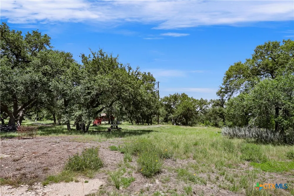 101 Purple Sage Street Driftwood, TX 78619