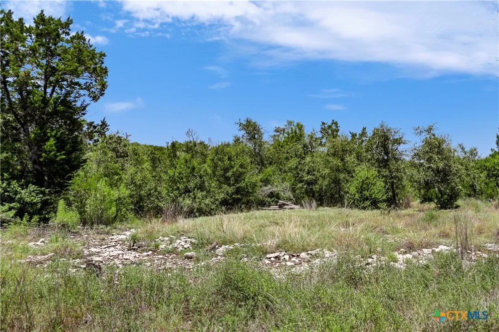 101 Purple Sage Street Driftwood, TX 78619