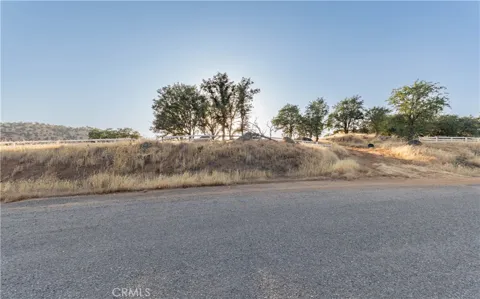 16295 Wrangler Drive