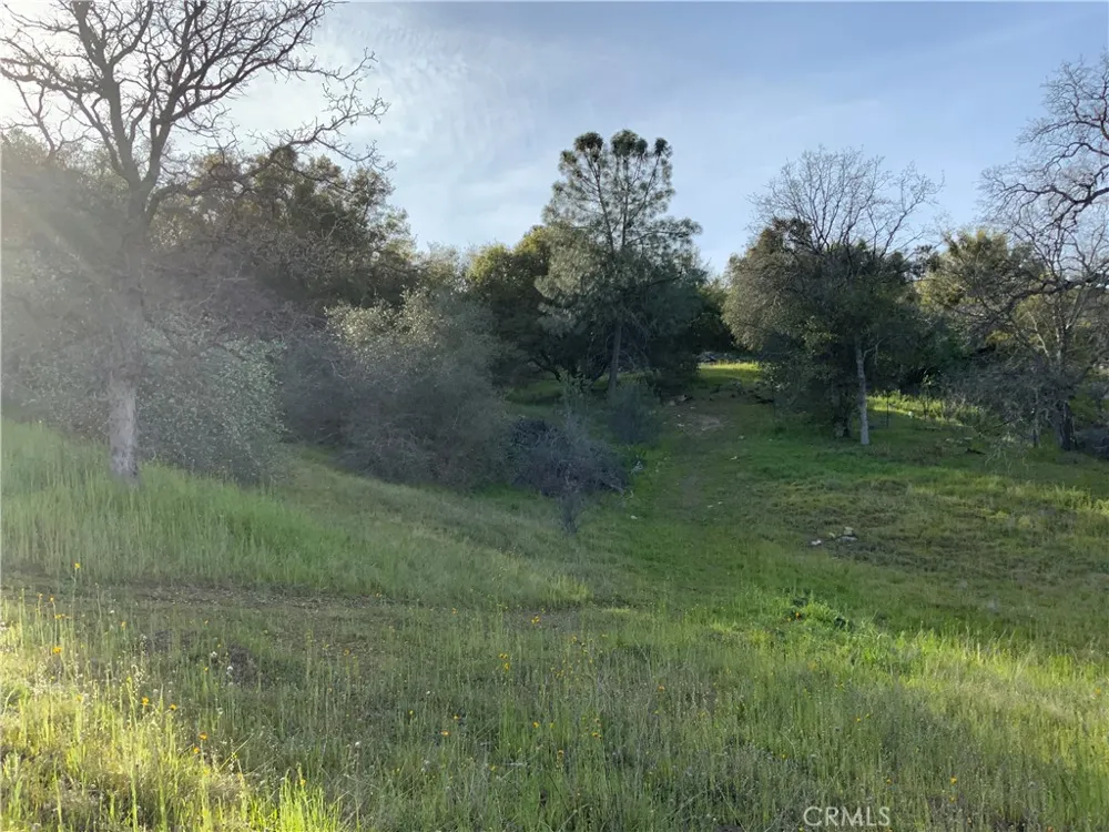 5.36 Acres N. Dome Drive Coarsegold, CA 93614