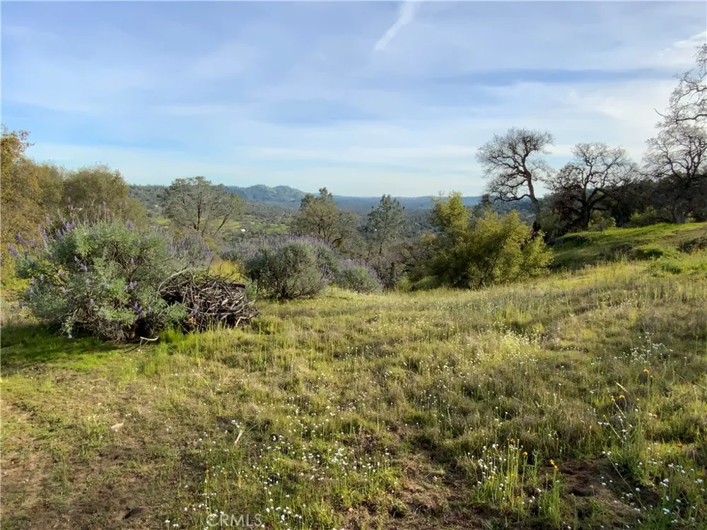 5.36 Acres N. Dome Drive Coarsegold, CA 93614