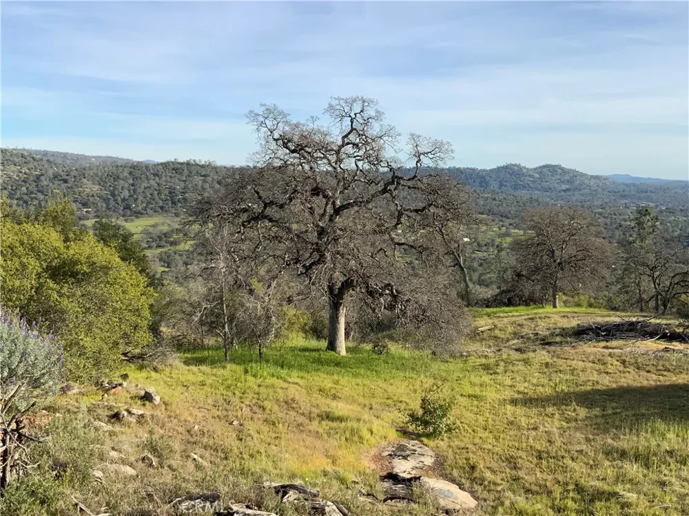 5.36 Acres N. Dome Drive Coarsegold, CA 93614