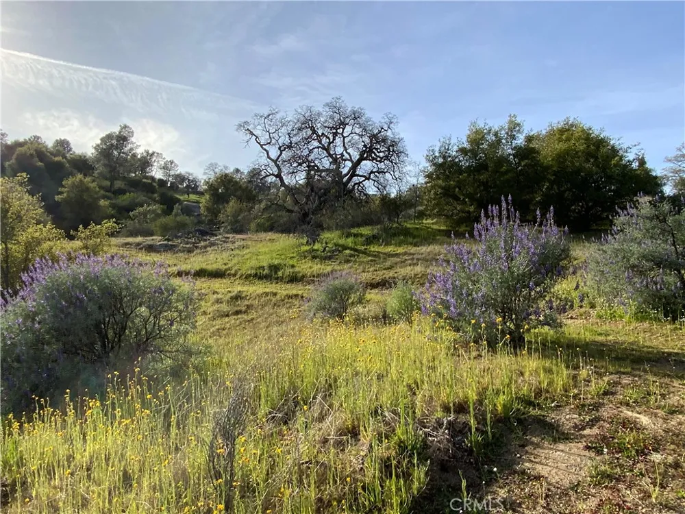 5.36 Acres N. Dome Drive Coarsegold, CA 93614