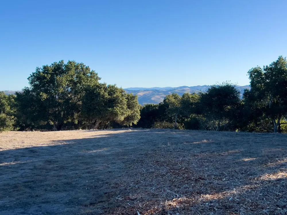70 Chamisal Carmel, CA 93923