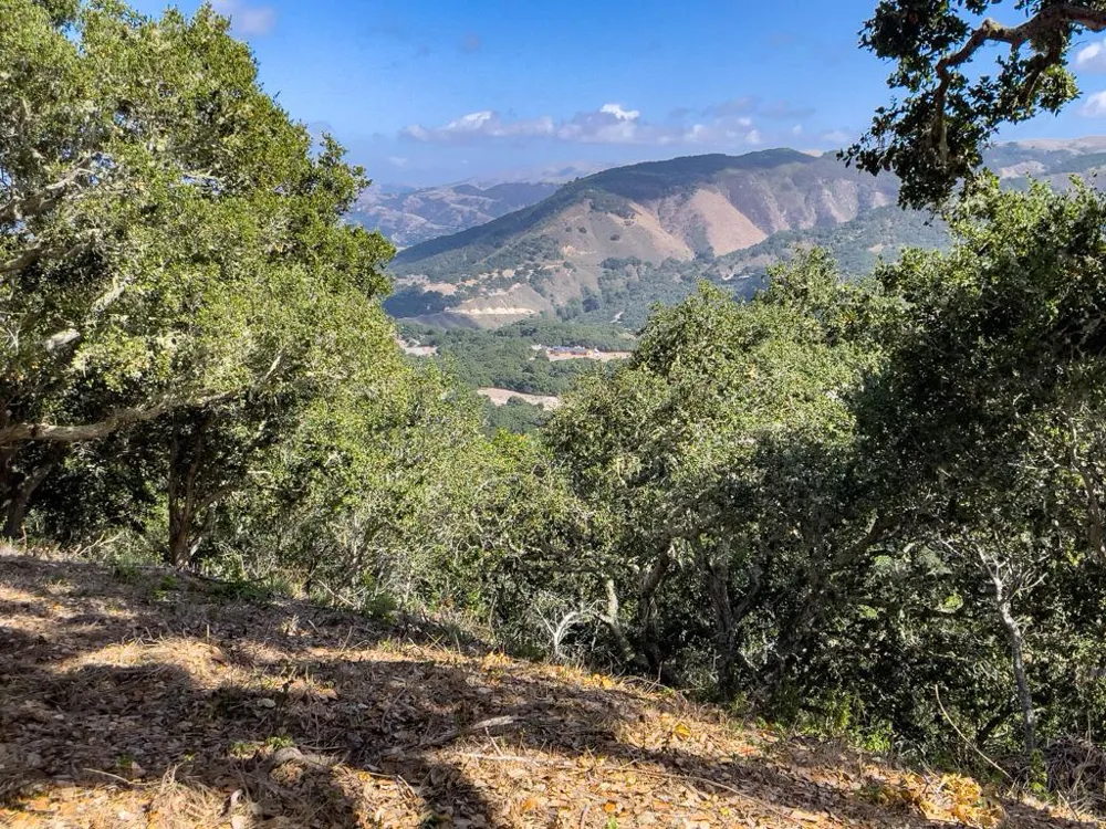 70 Chamisal Carmel, CA 93923