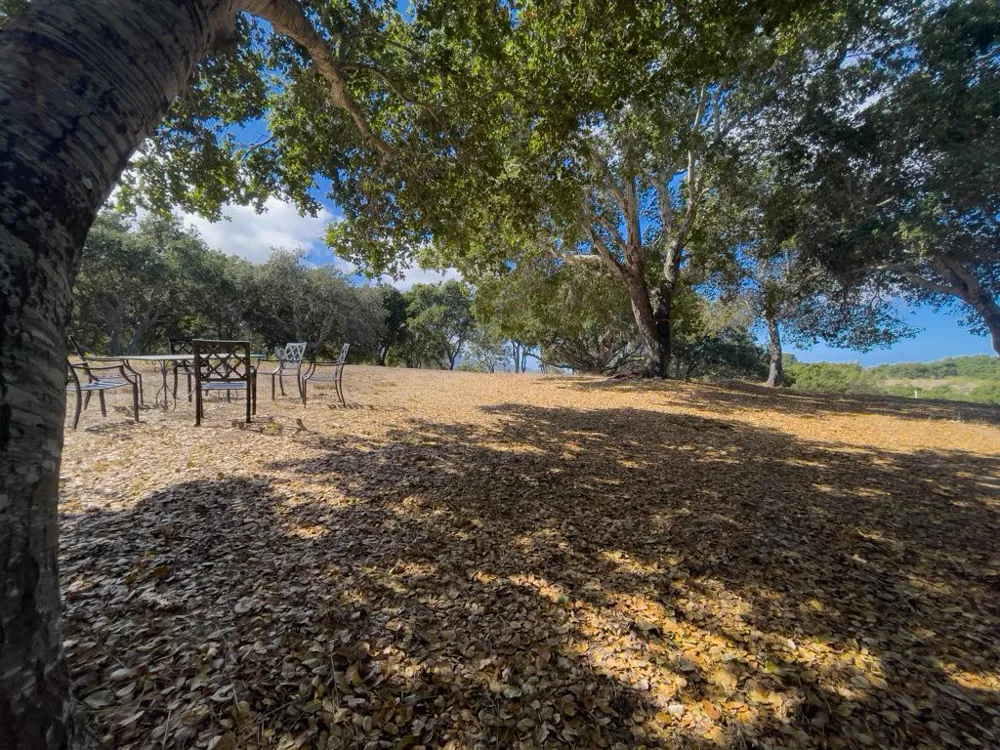 70 Chamisal Carmel, CA 93923