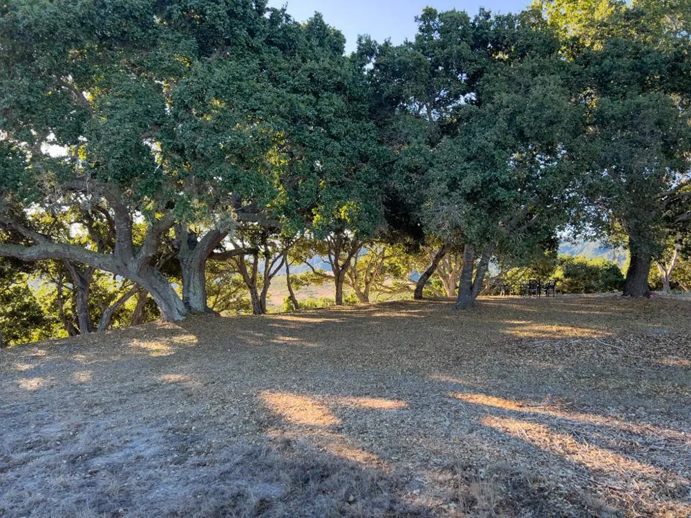 70 Chamisal Carmel, CA 93923