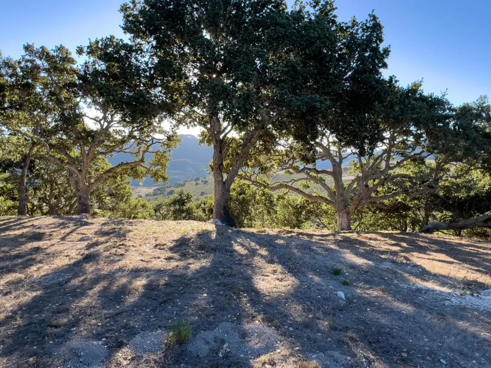 70 Chamisal Carmel, CA 93923