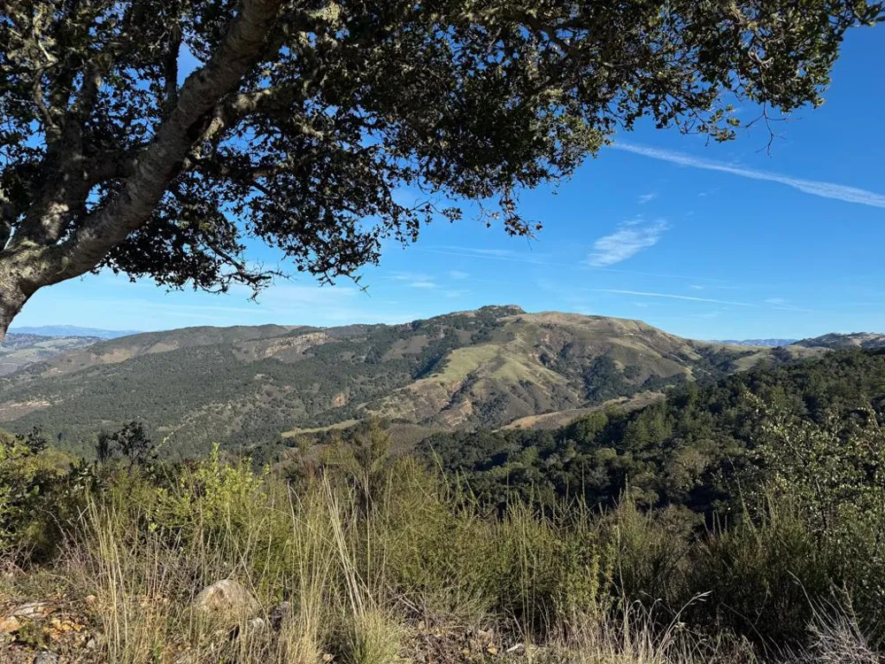 70 Chamisal Carmel, CA 93923