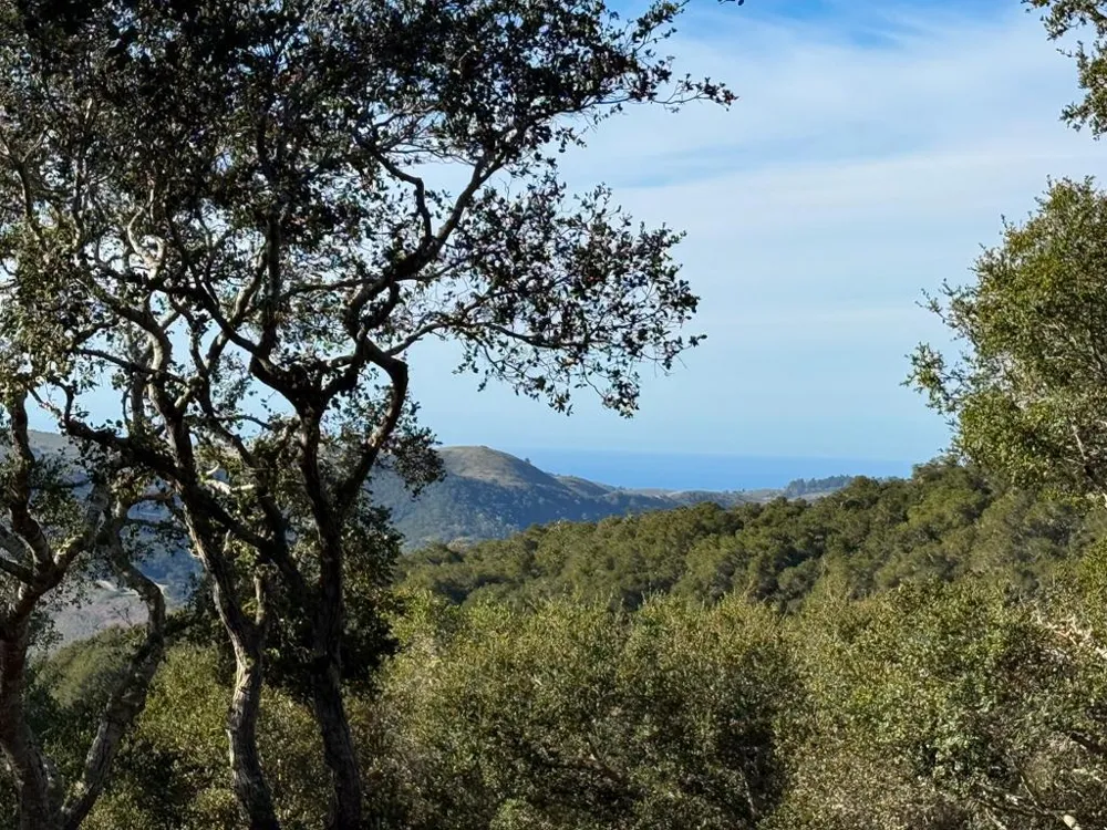 70 Chamisal Carmel, CA 93923