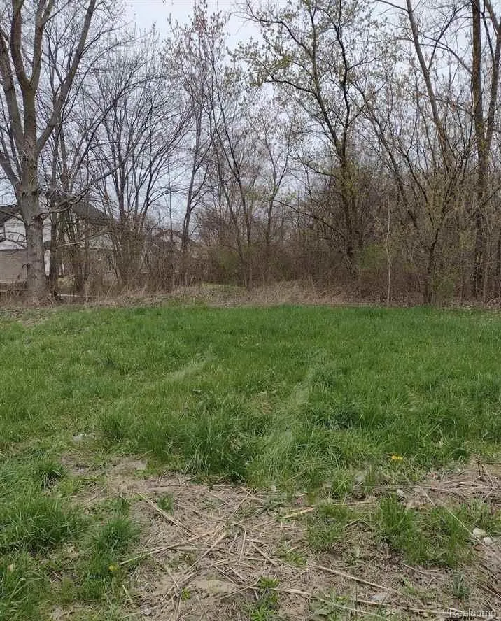 Cotton Road Chesterfield Township, MI 48047