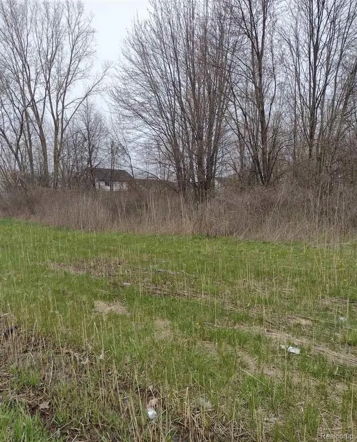 Cotton Road Chesterfield Township, MI 48047