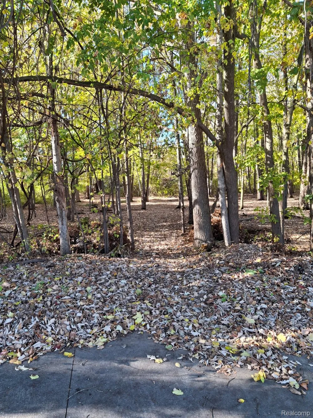 Cotton Road Chesterfield Township, MI 48047