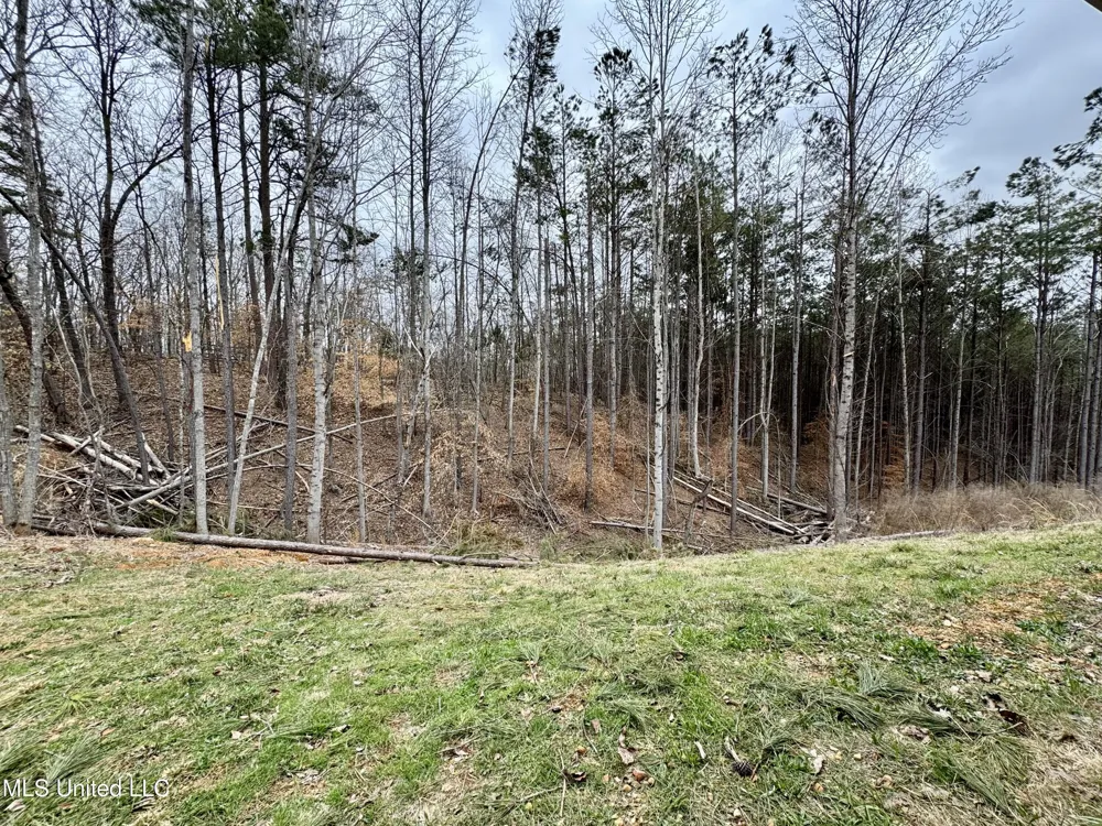 68 River Bend Park Drive Iuka, MS 38852