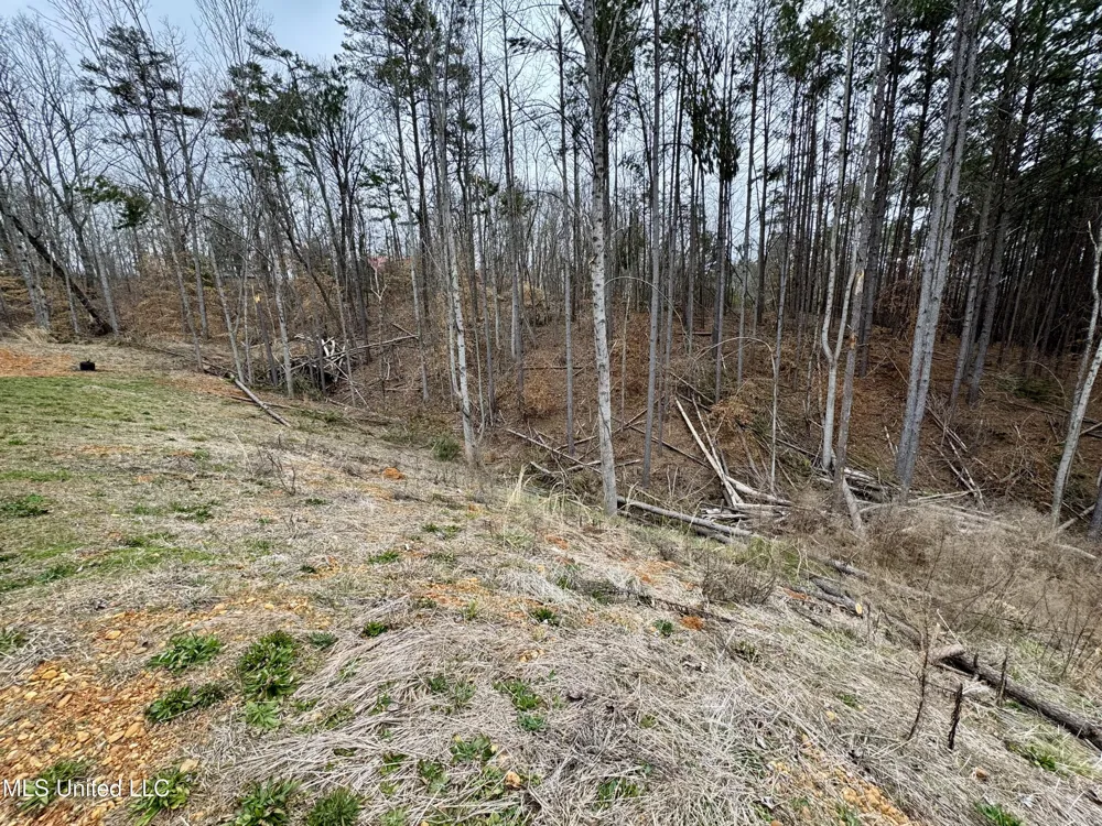 68 River Bend Park Drive Iuka, MS 38852