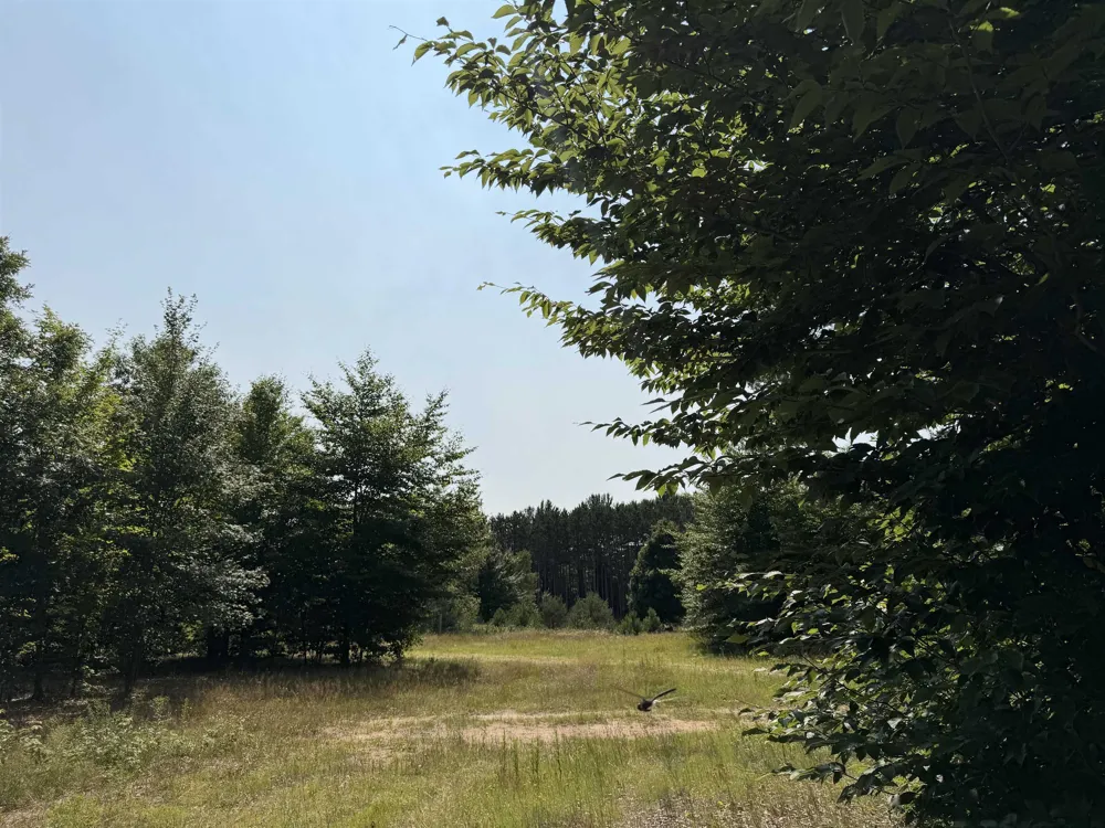 Landis Road Weldon Township, MI 49683